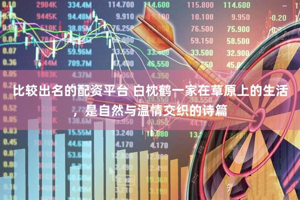 比较出名的配资平台 白枕鹤一家在草原上的生活，是自然与温情交织的诗篇